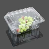 Clam shell clamshell blister pet plastic box packaging tray food containers