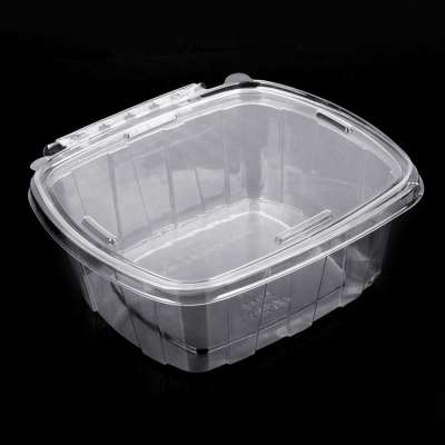 High quality custom PET plastic food small packing disposable plastic food box