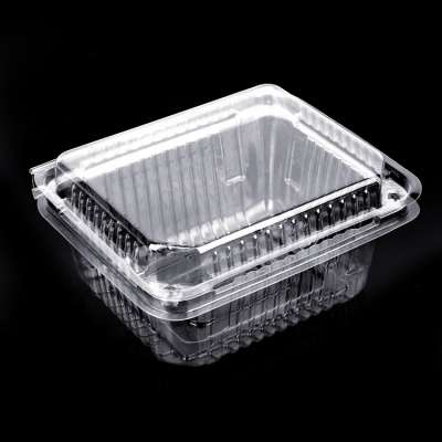 Wholesale Custom High Transparently Disposable Food Containers Fruit Packaging Clear Plastic Box